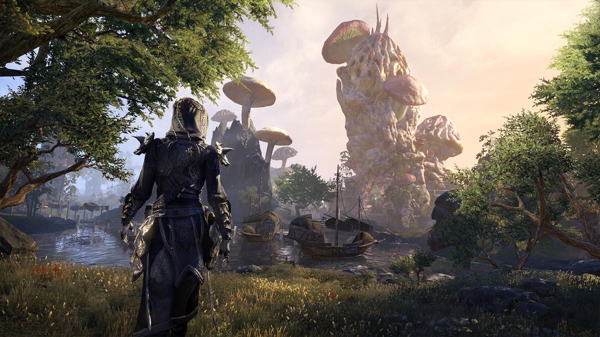 Нужно ли два монитора в the elder scrolls online